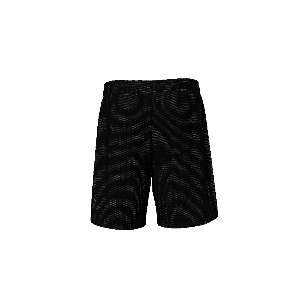 A01 Mesh Shorts